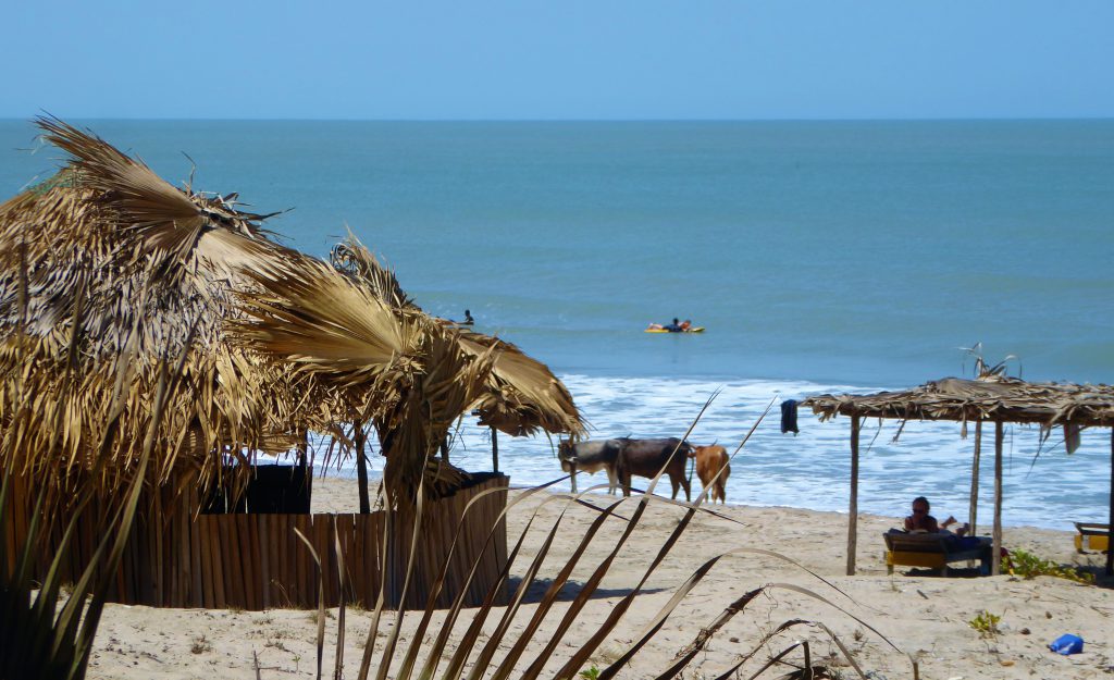 Surfen in Kartong - Gambia