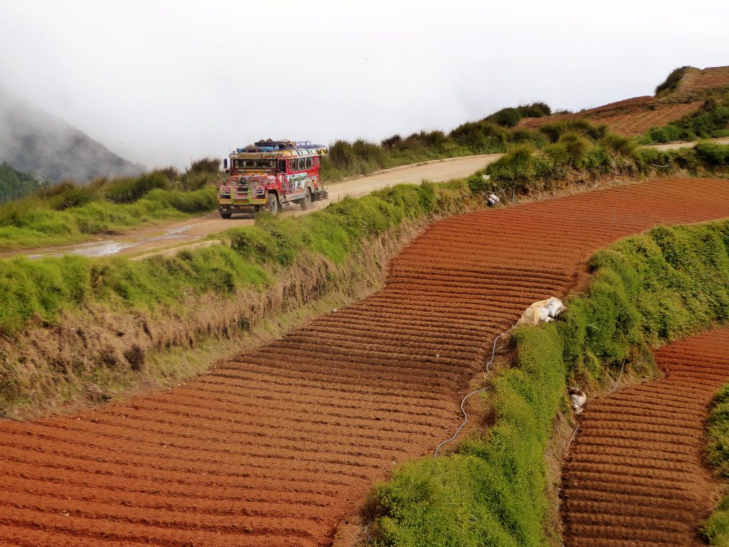 Hiking to the Summit of Mt Pulag