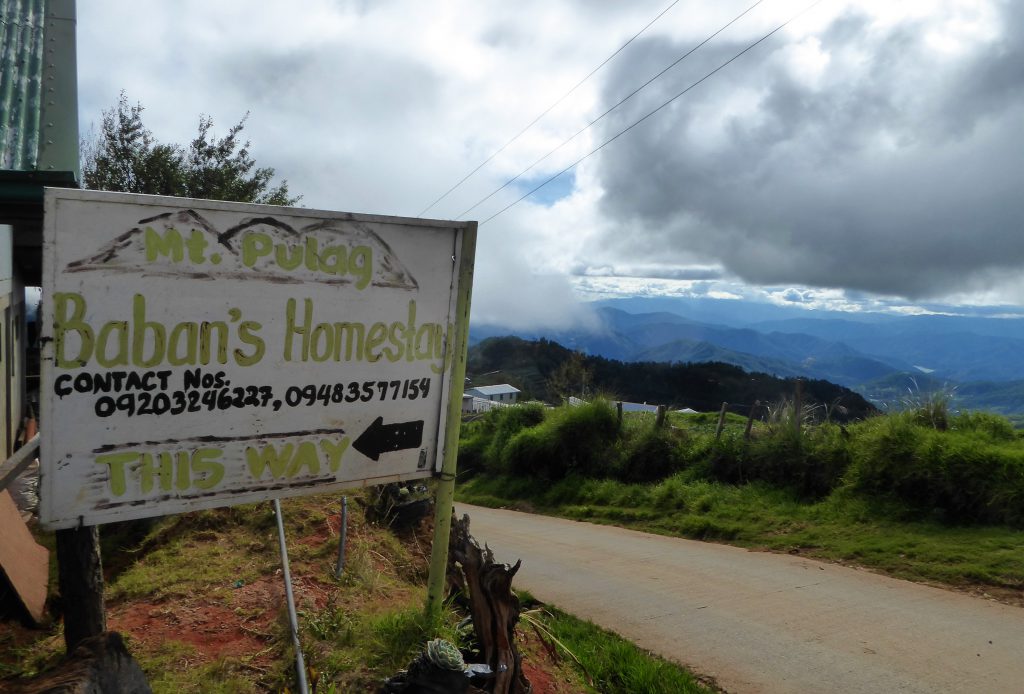 Hiking to the Summit of Mt Pulag