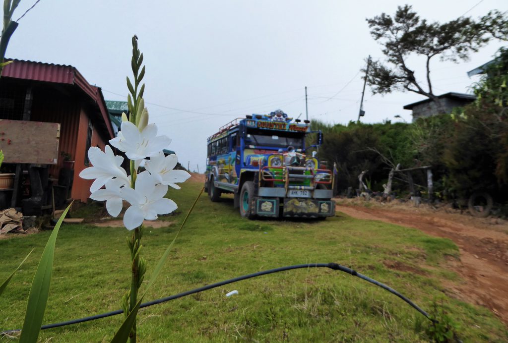 Hiking to the Summit of Mt Pulag