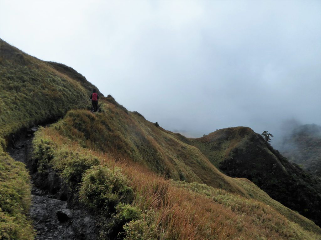 Hiking to the Summit of Mt Pulag