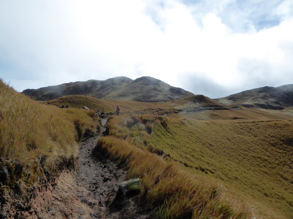 Hiking to the Summit of Mt Pulag