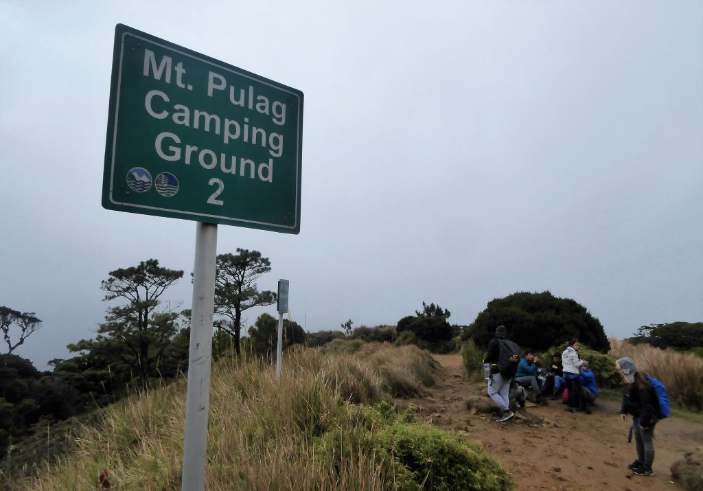 Hiking to the Summit of Mt Pulag