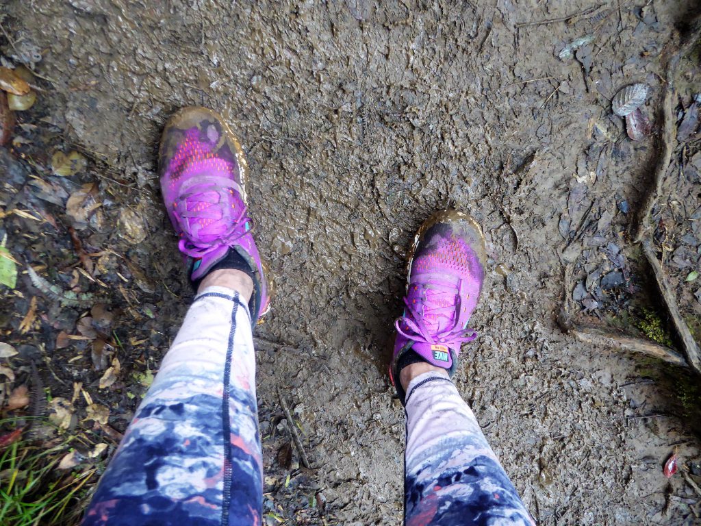 Hiking to the Summit of Mt Pulag