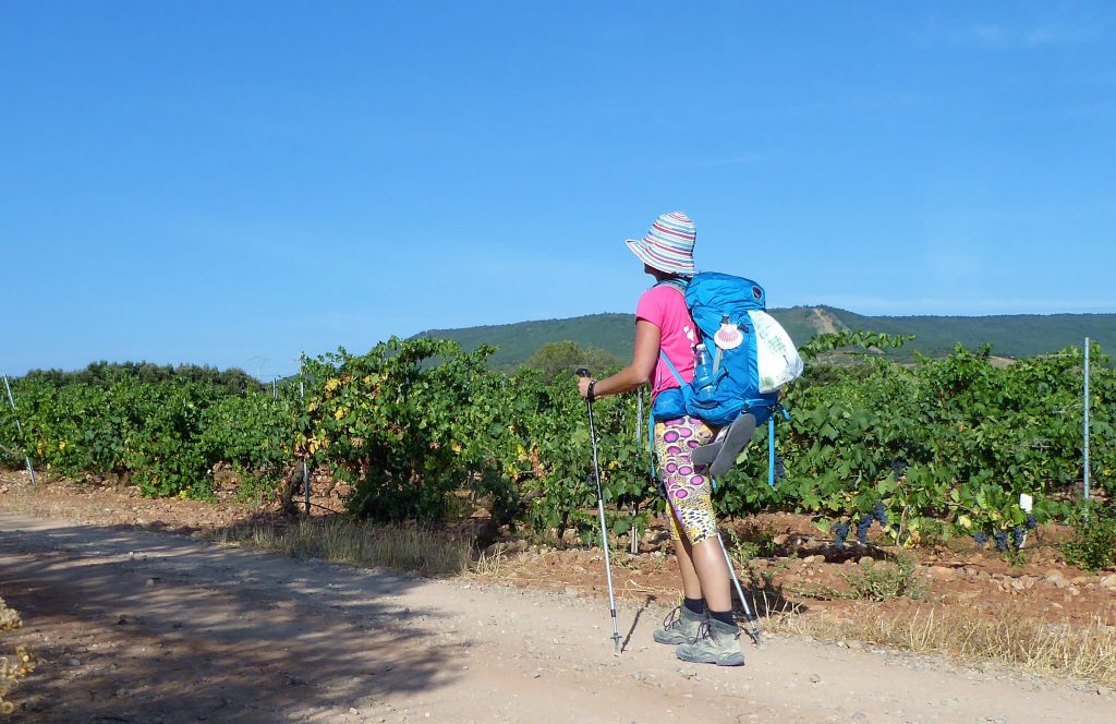 Hiken met wandelstokken of juist niet