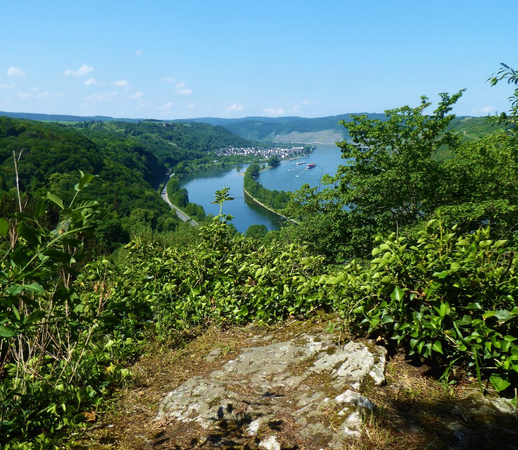 Trekkingstokken: Totall Workout en Veiligheid