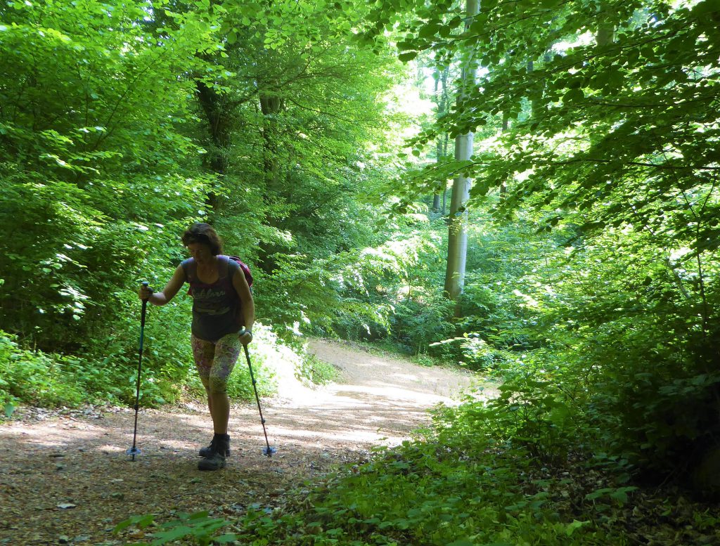 Trekkingstokken en Veiligheid - En een Totall Workout - Zinvol Reizen