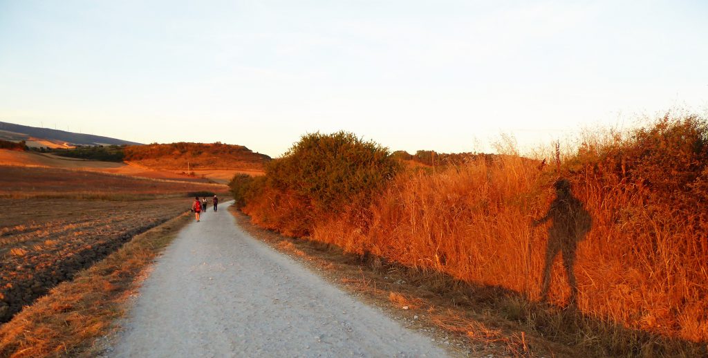 Hiken met wandelstokken of juist niet?