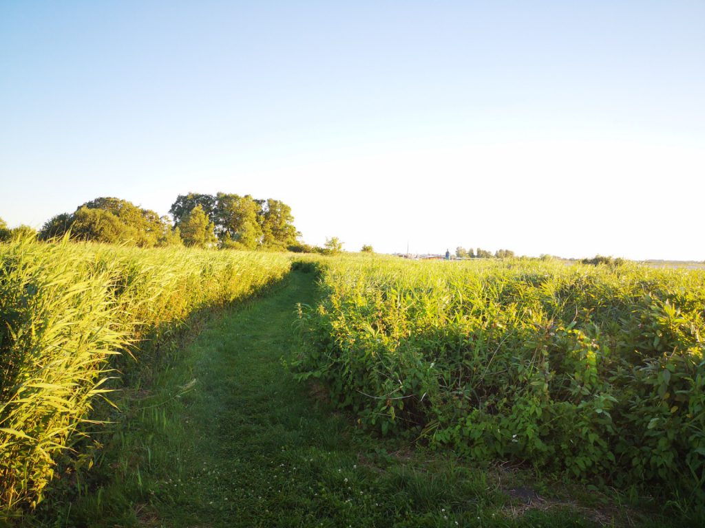 Een weekend Zeilen in Friesland - Nederland