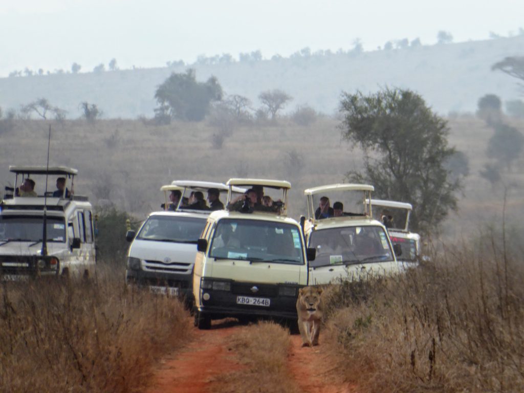 Werken in Tsavo East Nationaal Park in Kenia - Wildlife