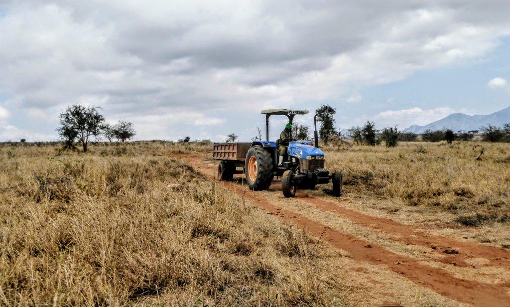 Werken in Tsavo East Nationaal Park in Kenia - Wildlife