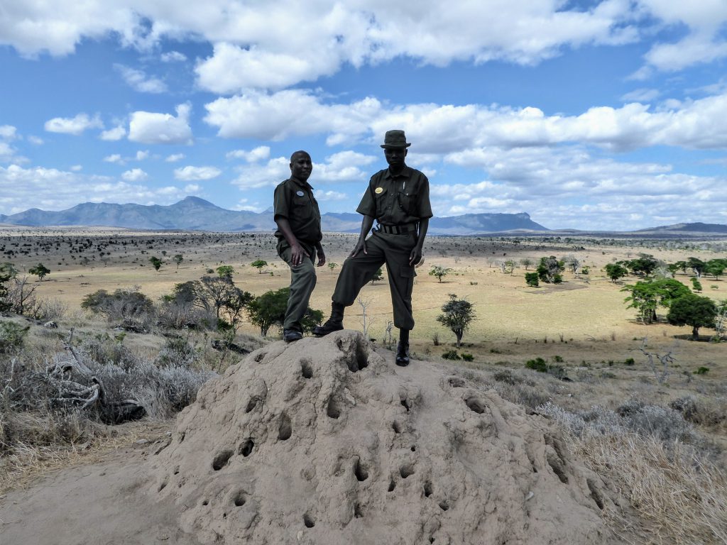 Werken in Tsavo East Nationaal Park in Kenia - Wildlife