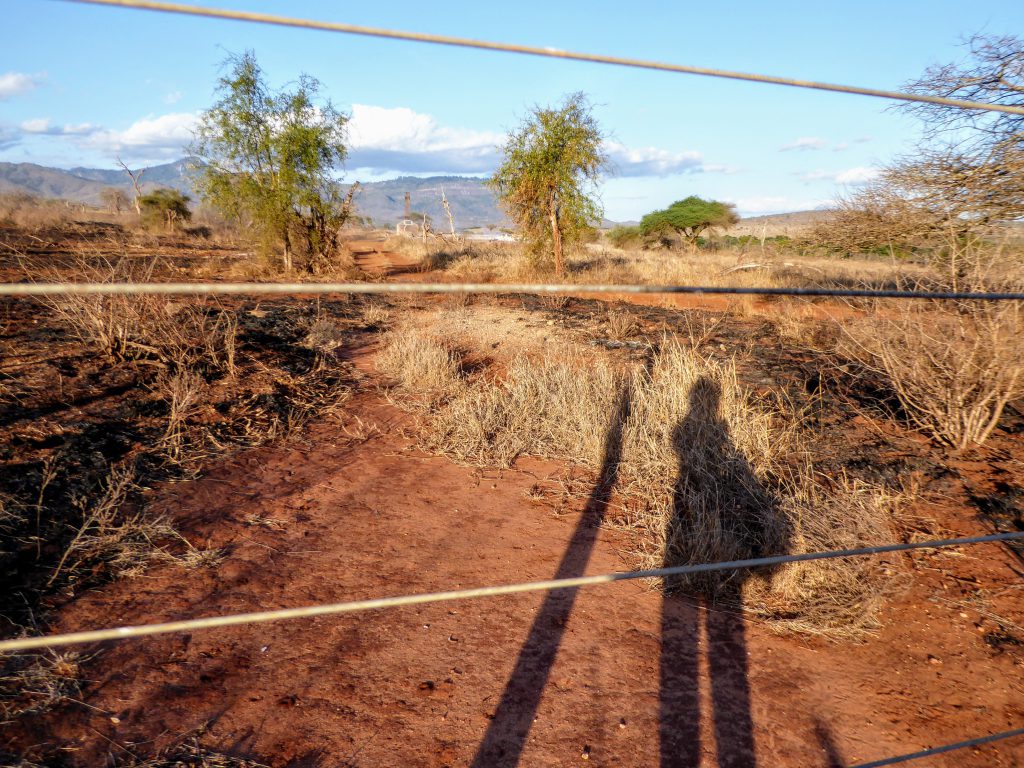 Werken in een Tsavo East Nationaal Park in Kenia