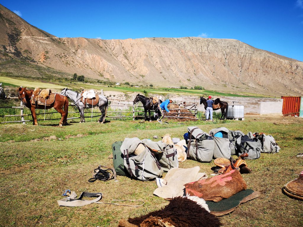 Een trekking per paard in Kirgizië - Centraal Azië