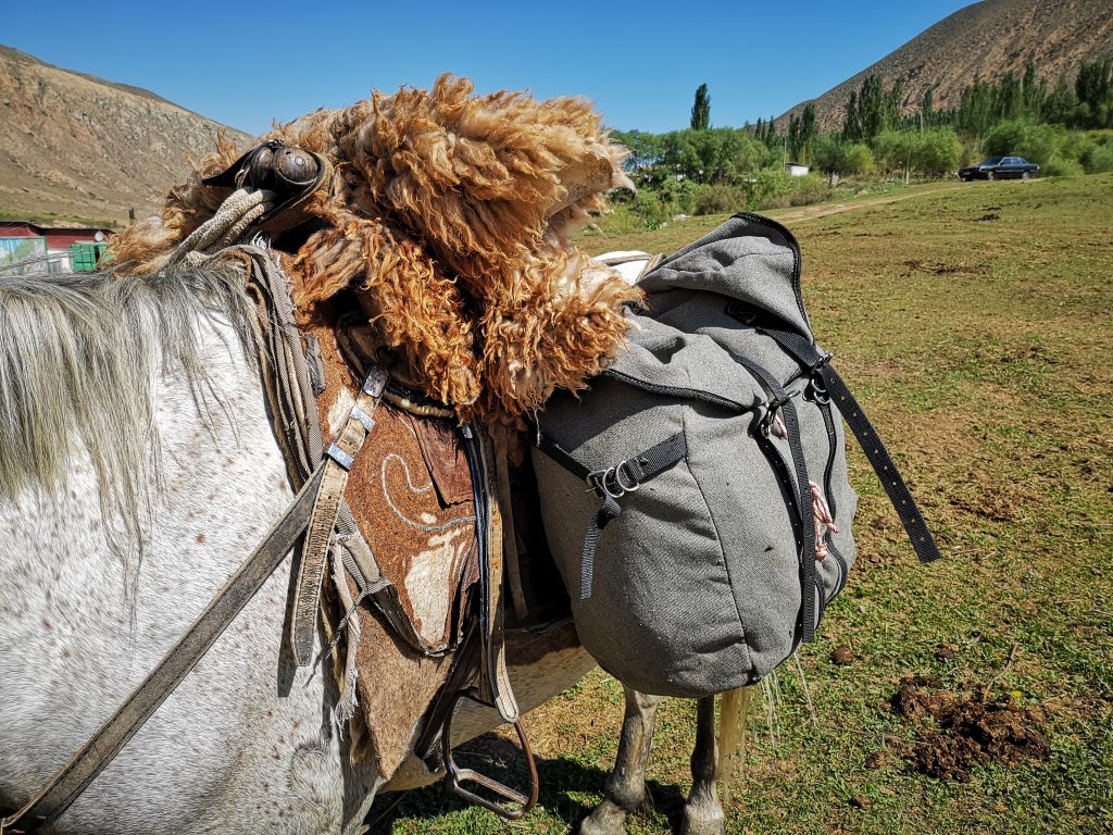 Een trekking per paard in Kirgizië - Centraal Azië