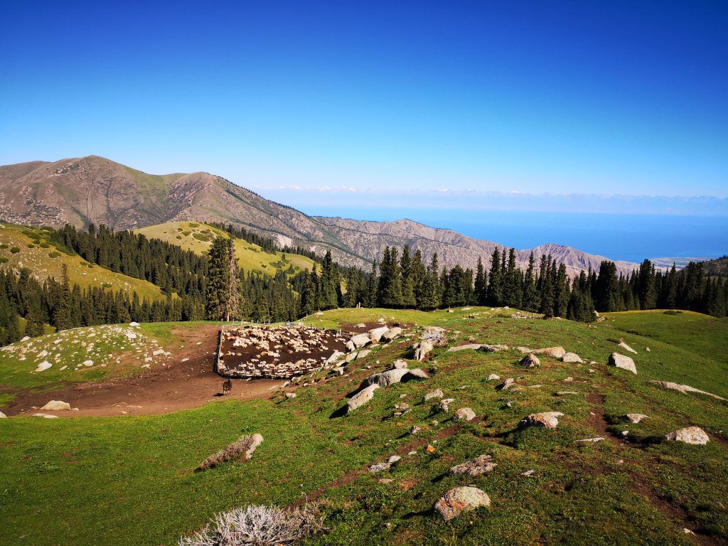 Een trekking per paard in Kirgizië - Centraal Azië