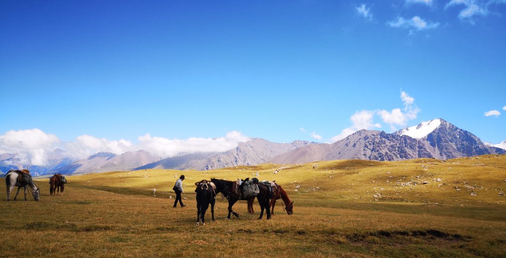 Een trekking per paard in Kirgizië - Centraal Azië