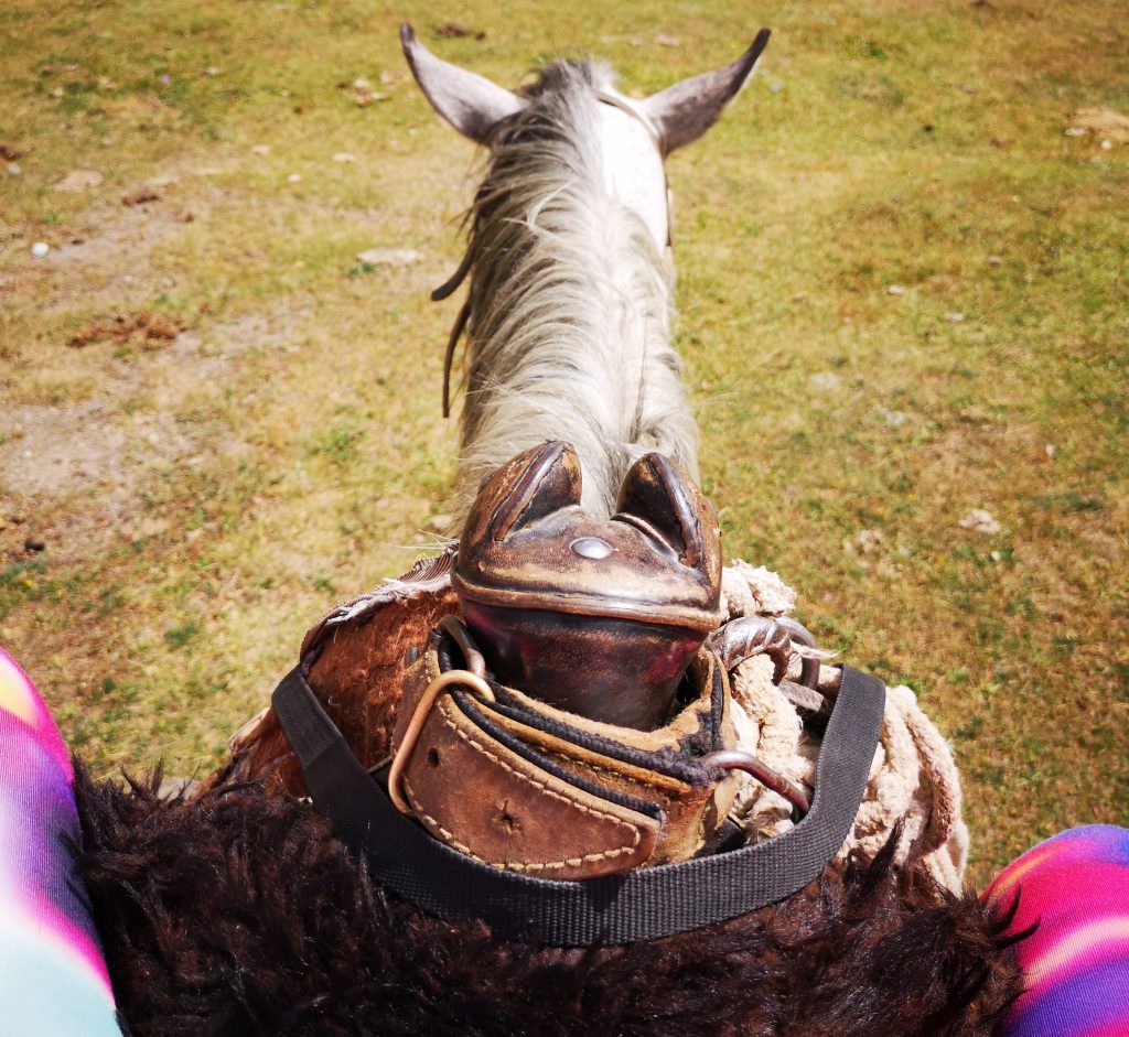 Trekking by Horse in Kyrgyzstan - Central Asia