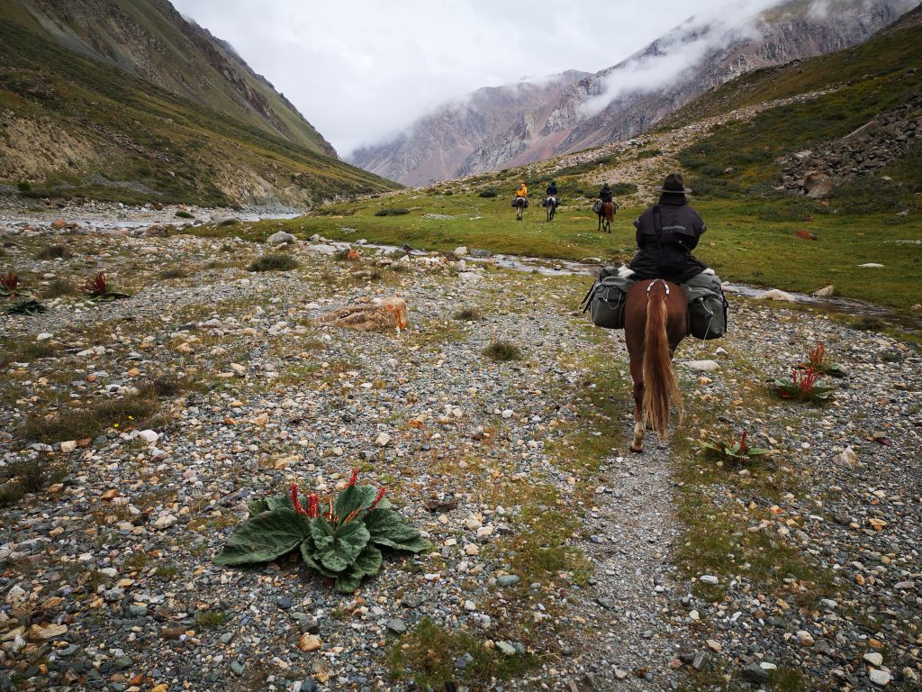 Een trekking per paard in Kirgizië - Centraal Azië