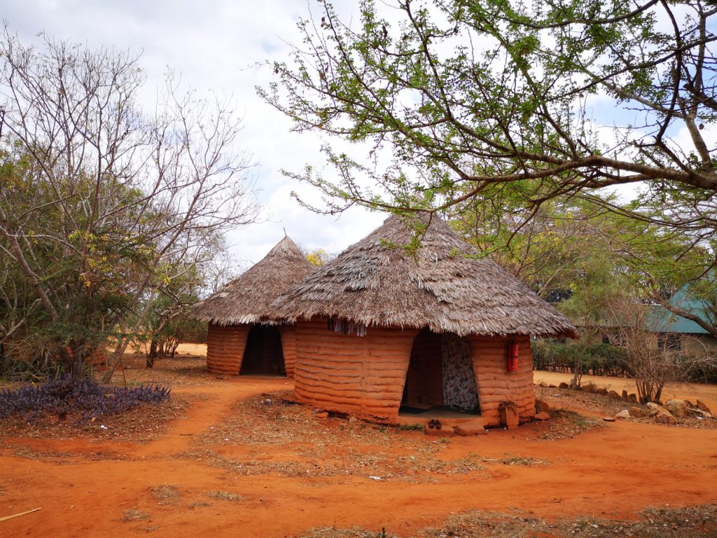 Volunteering in Tsavo National Park - Kenya