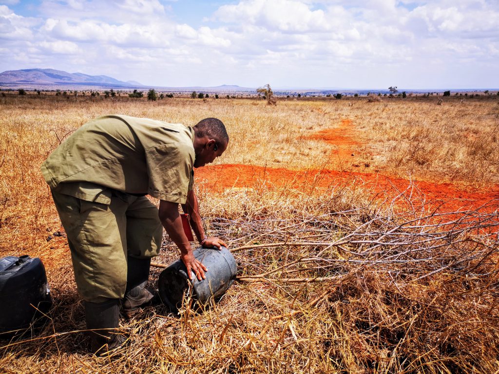 Werken in Tsavo East Nationaal Park in Kenia - Wildlife