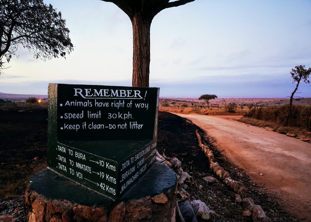 Volunteering in Tsavo National Park - Kenya