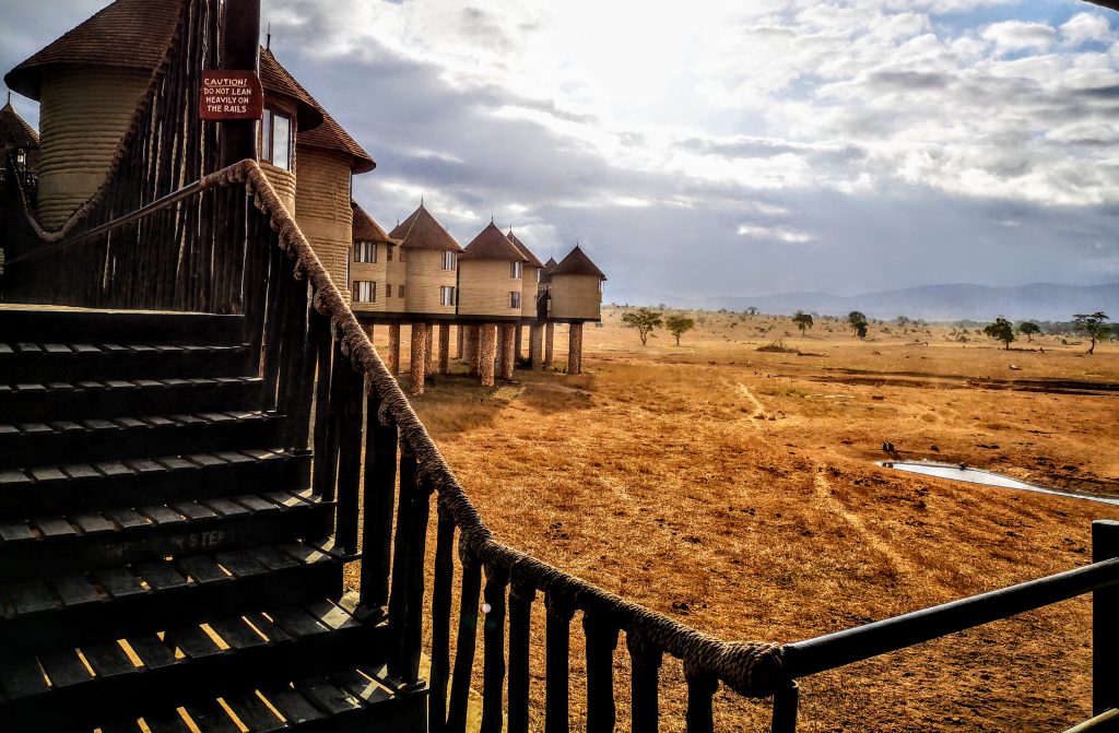 Werken in Tsavo East Nationaal Park in Kenia - Wildlife