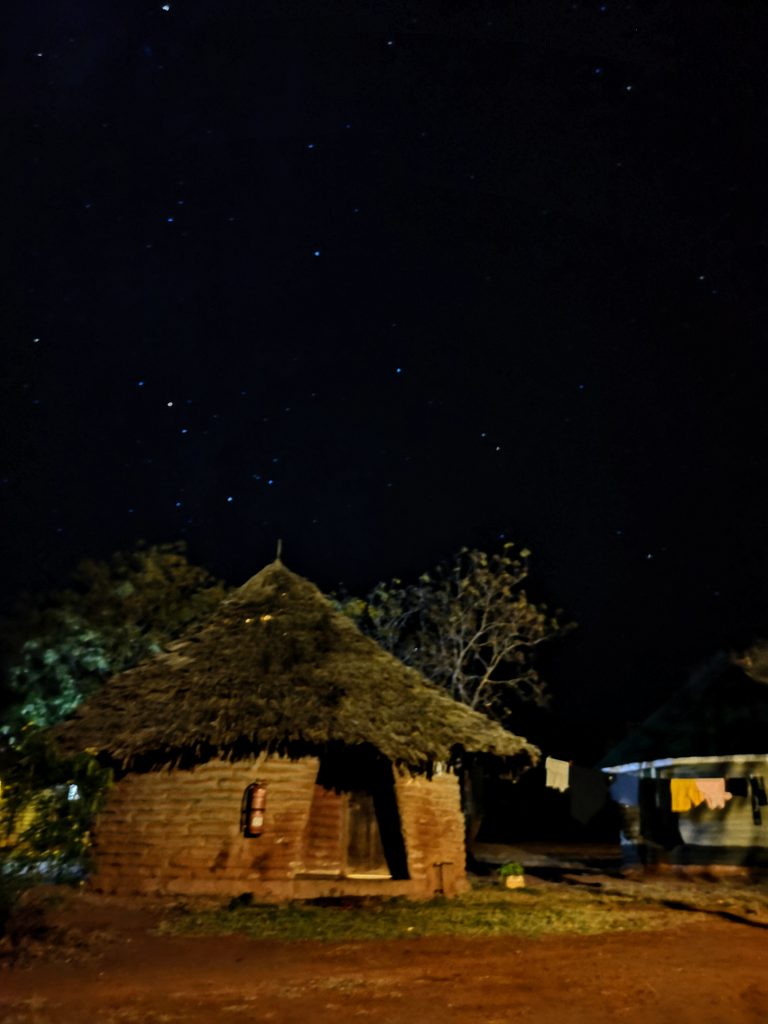 Werken in Tsavo East Nationaal Park in Kenia - Wildlife