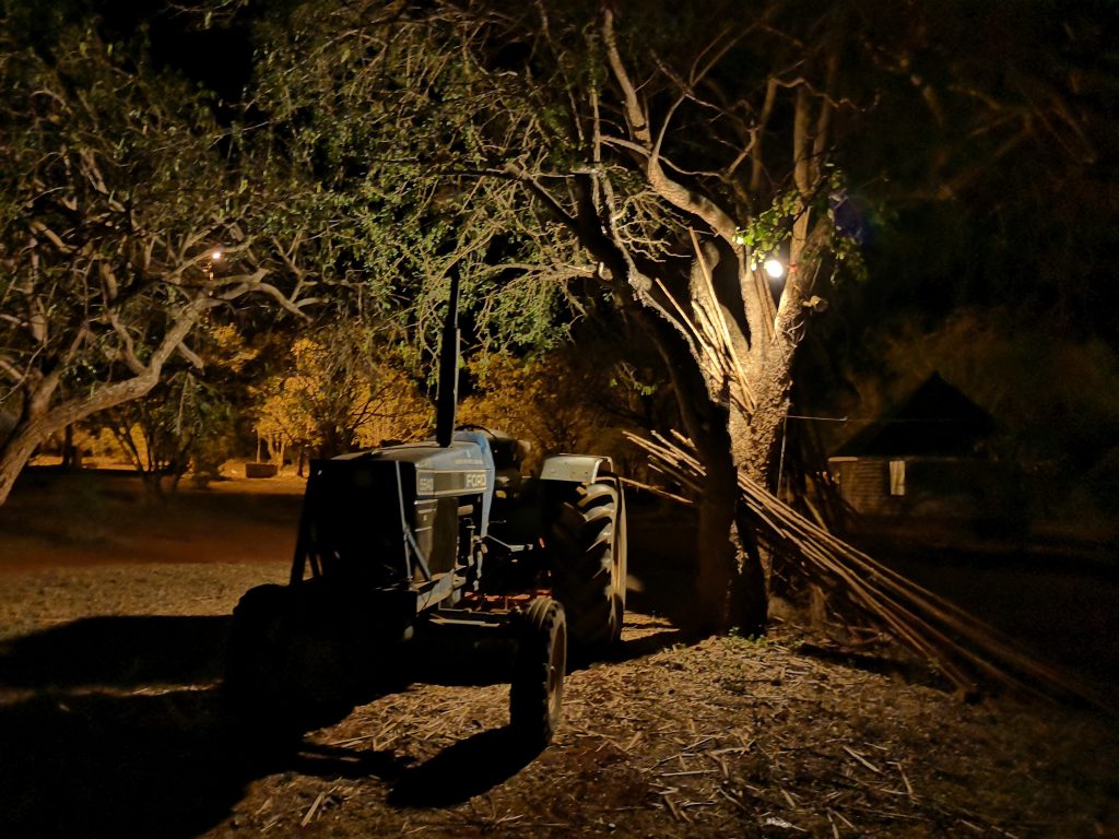 Werken in Tsavo East Nationaal Park in Kenia - Wildlife