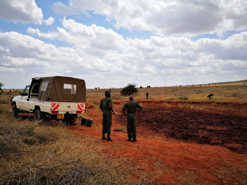 Veilig op Safari