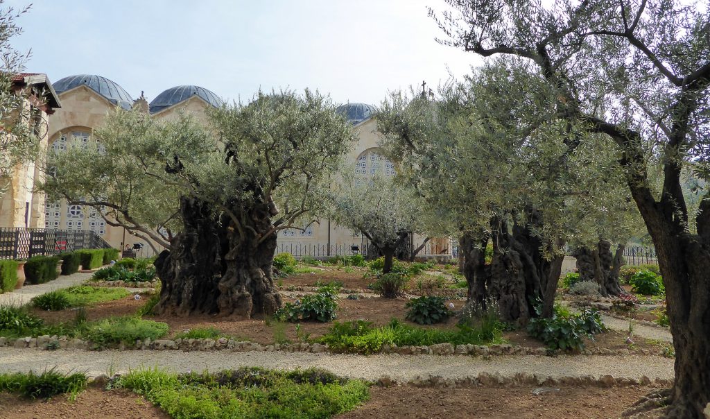 Bezoek Jeruzalem! Israel