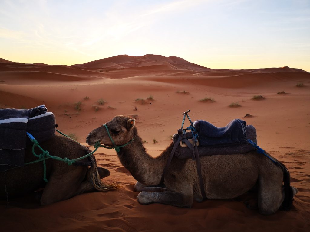 Discover Morocco in 4 days and 3 nights