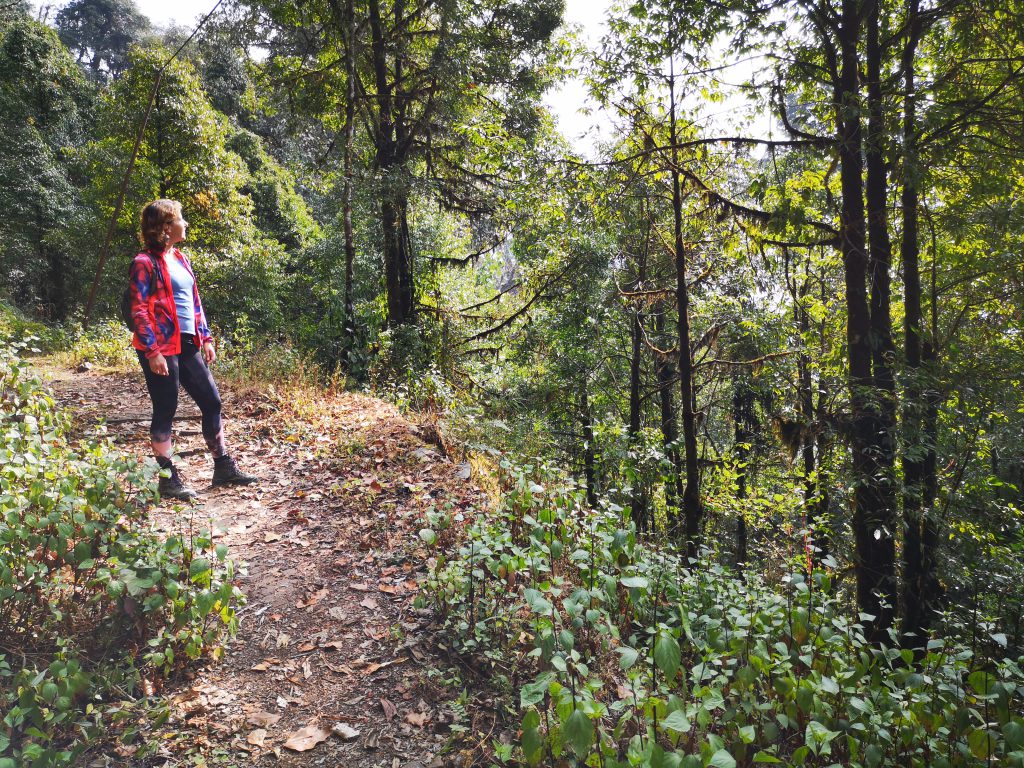 Reisgids Namchi & omgeving - Sikkim, India