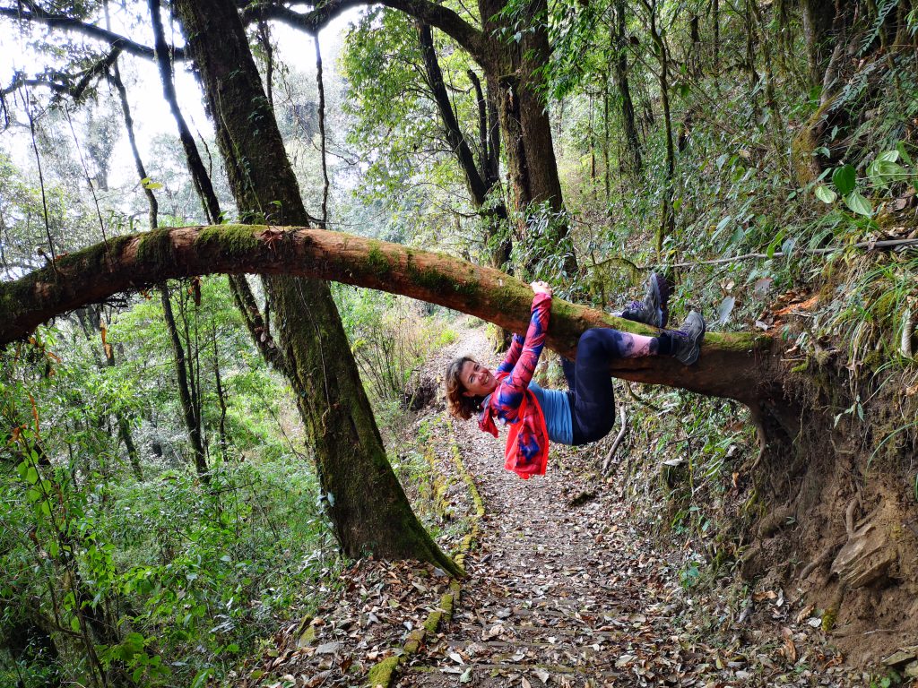 10 days journey through former Kingdom Sikkim - India