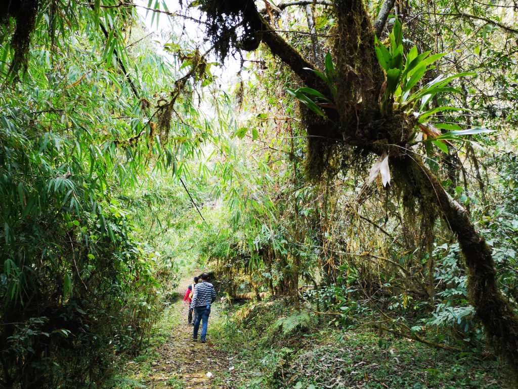 10 days journey through former Kingdom Sikkim - India