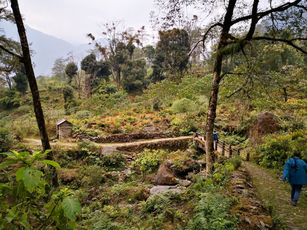 10 days journey through former Kingdom Sikkim - India