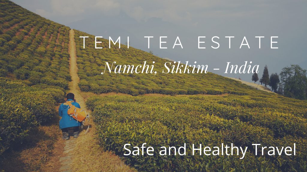 Temi Tea Estate, Namchi - Sikkim, India