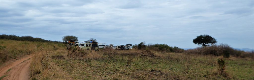 3 day Safari at the Masai Mara - Kenya