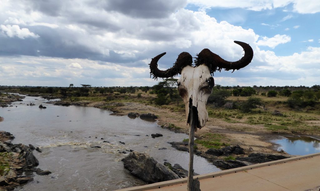 3 day Safari at the Masai Mara - Kenya