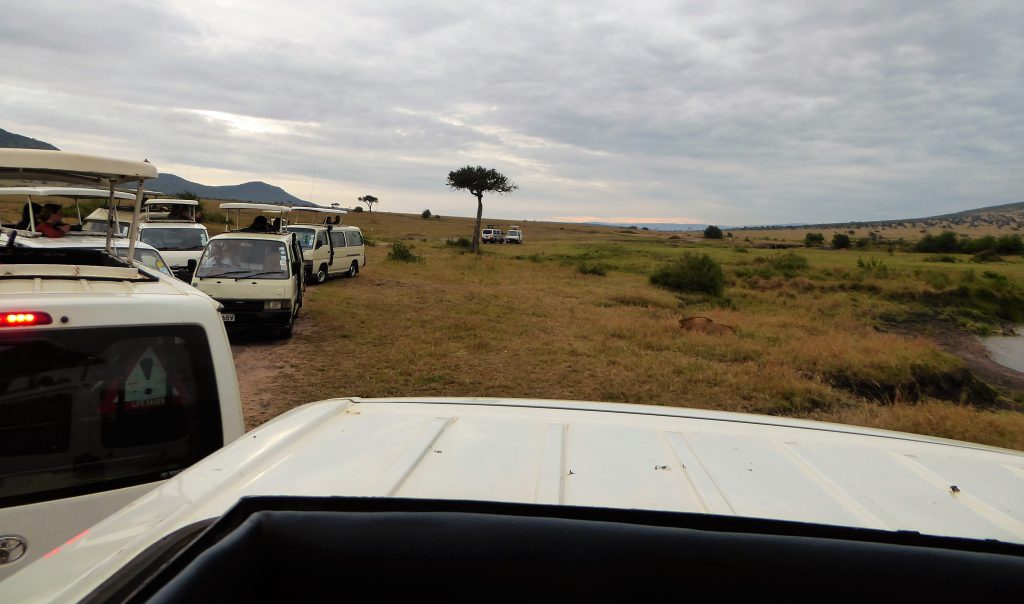 3 day Safari at the Masai Mara - Kenya