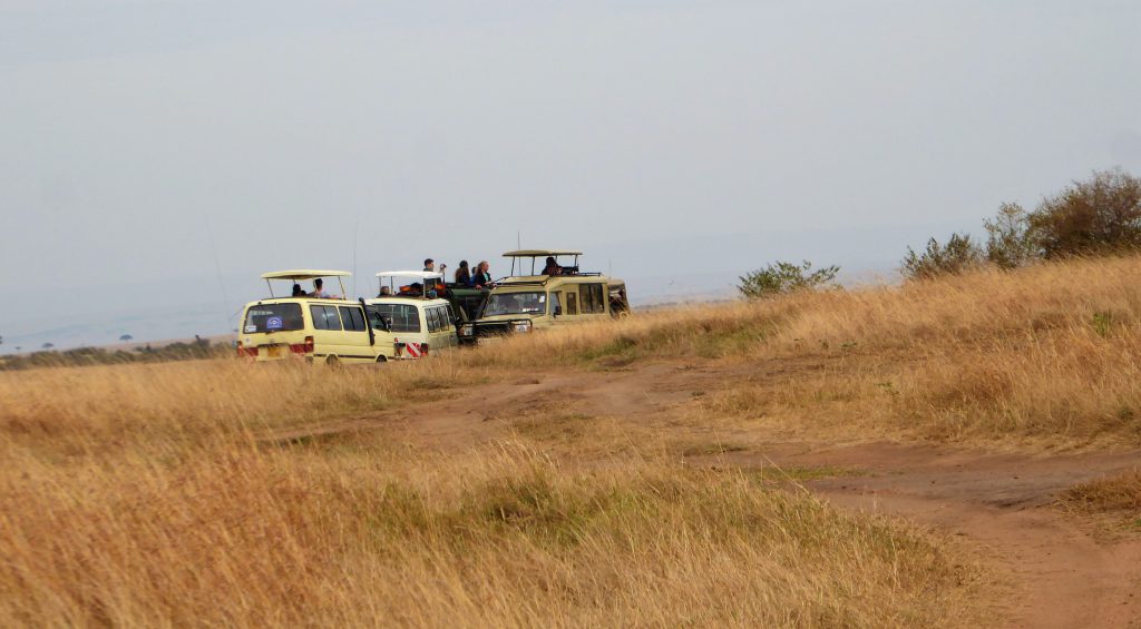 3 day Safari at the Masai Mara - Kenya