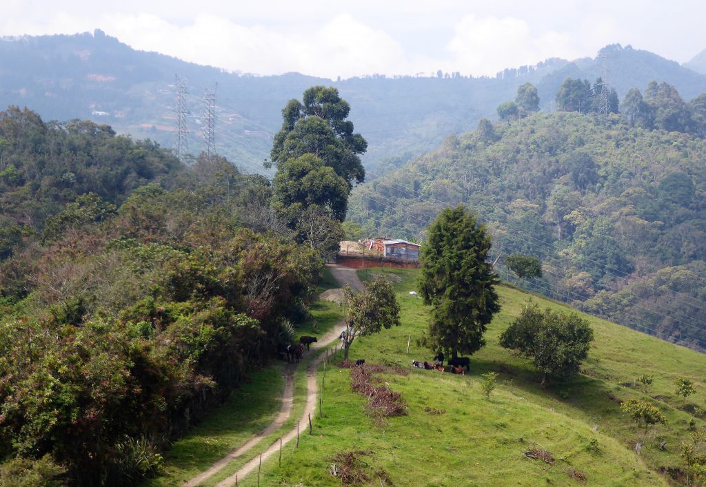 Cerro de las Tres Cruces oprennen, de zondagse activiteit in Medellin, Colombia