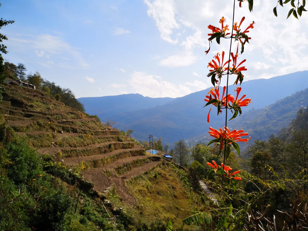 Poon Hill Trek - Nepal ( 8 dgn / 7 nacht )