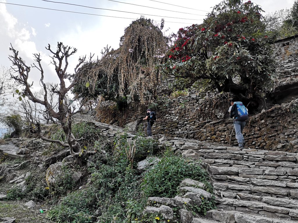 Poon Hill Trek - Nepal (8 days/7nights)