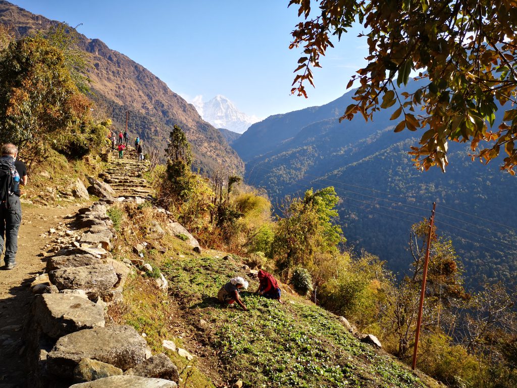 Poon Hill Trek - Nepal (8 days/7nights)