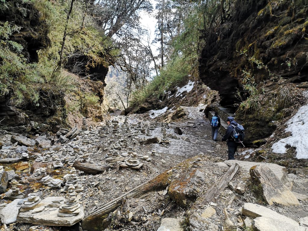 Poon Hill Trek - Nepal ( 8 dgn / 7 nacht )