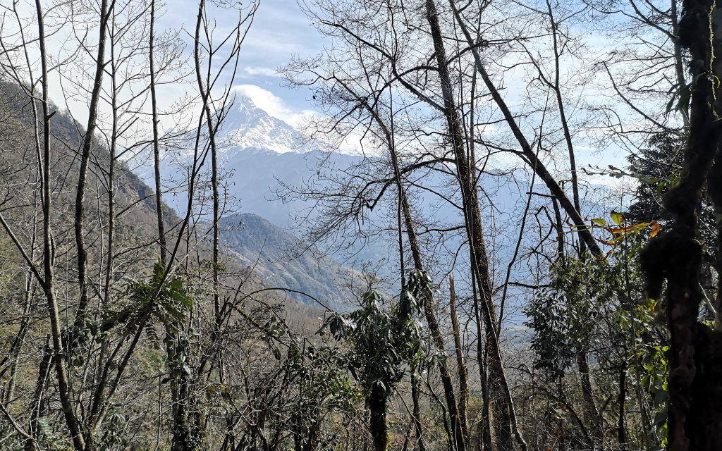 Poon Hill Trek - Nepal ( 8 dgn / 7 nacht )