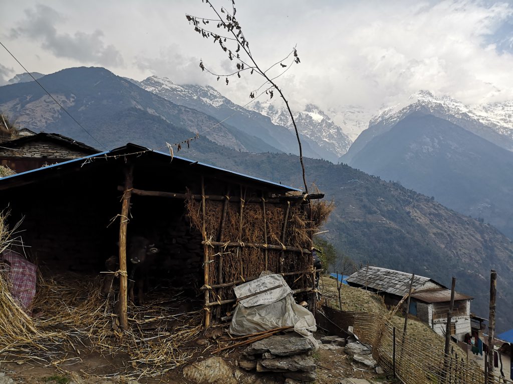 Poon Hill Trek - Nepal ( 8 dgn / 7 nacht )