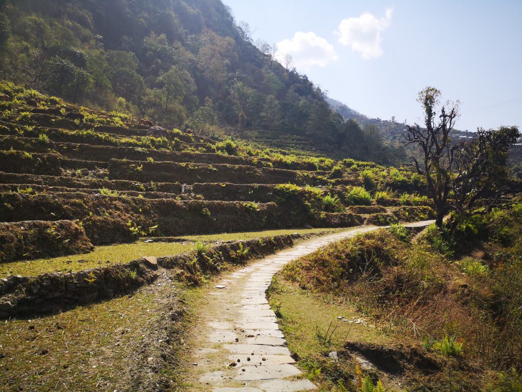 Poon Hill Trek - Nepal (8 days/7nights)