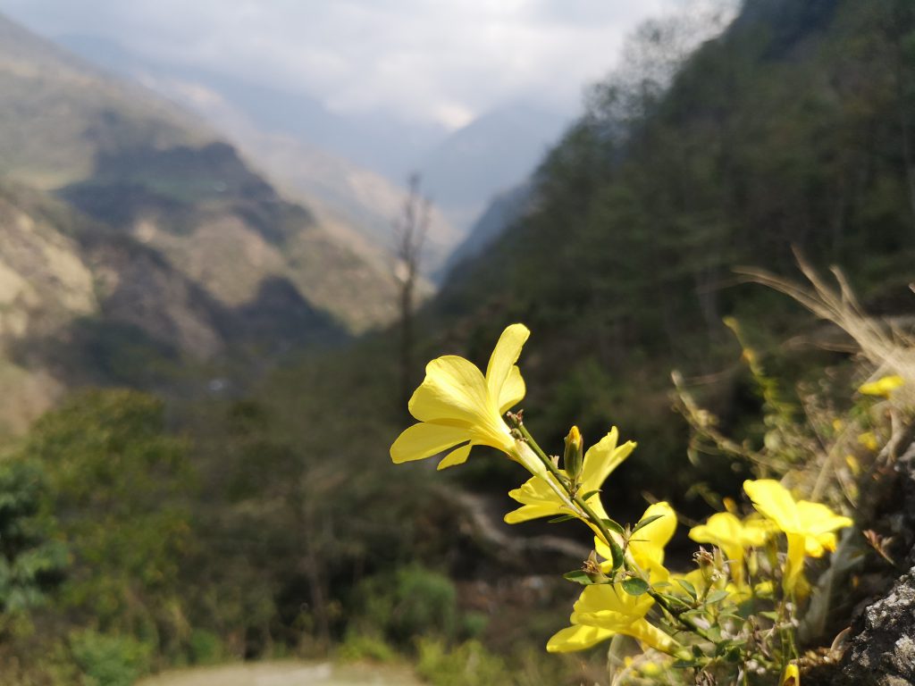 Poon Hill Trek - Nepal (8 days/7nights)